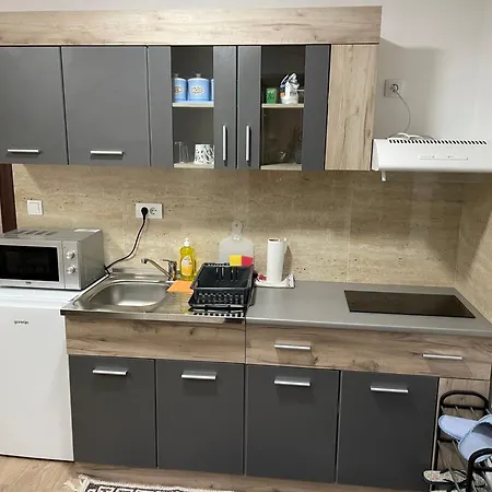 Apartment Jela Srebrno Jezero