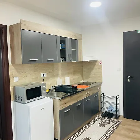 Apartment Jela Srebrno Jezero